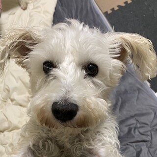 甘えたで人が大好きな女の子♪