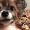 たくさき