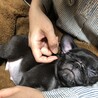 お膝で寝るのが大好き♡