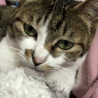 ムギ