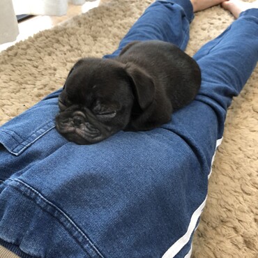 いつでもどこでも一緒( ´∀｀)