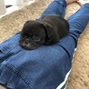 いつでもどこでも一緒( ´∀｀)