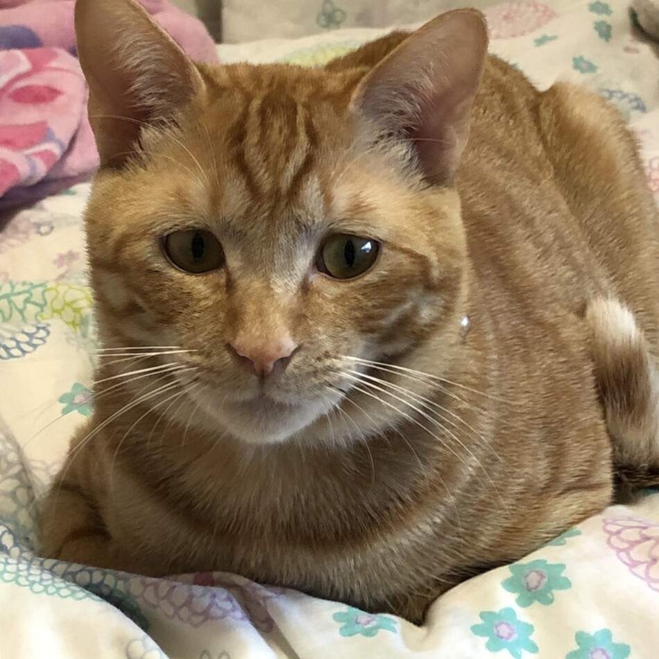 リルのカバー写真