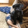 きょとん