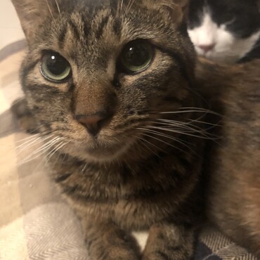 心霊写真ではありません！笑　ラキくんのおしりを枕にするむうくん