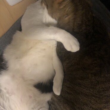 むうくんとゆづちゃんは今日もラブラブ♡オス同士だけどね