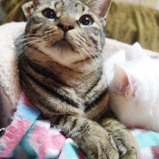 元気いっぱいの甘えんぼ！☆マー君１才半