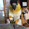 たくさんの応募ほんとにありがとうございました！