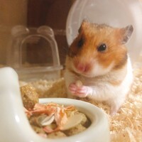 いち