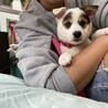 ストールちゃんトライアル決定募集停止 サムネイル2