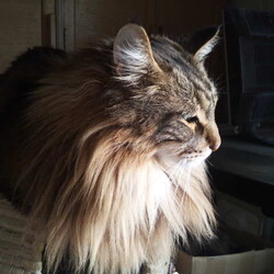 「タイタニック沈没の日に…」サムネイル3