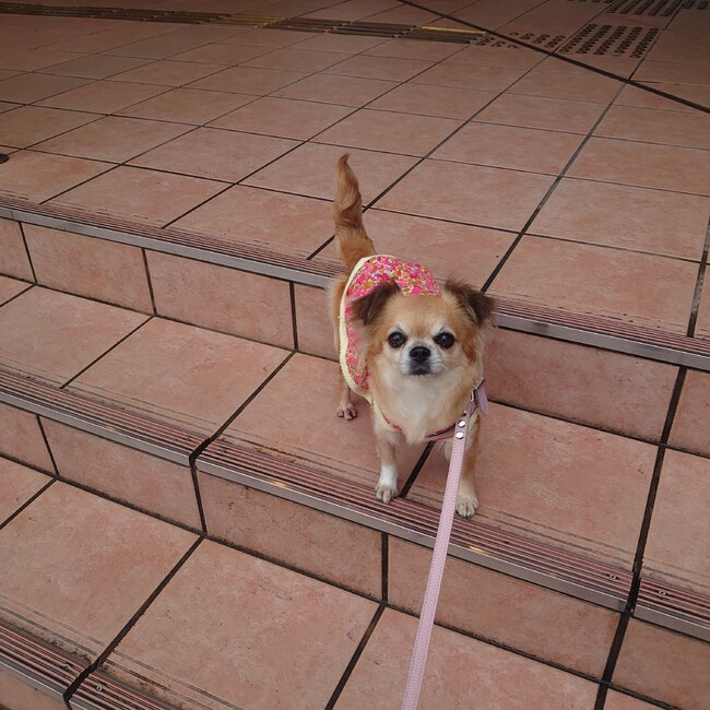 ももももももももも のカバー写真