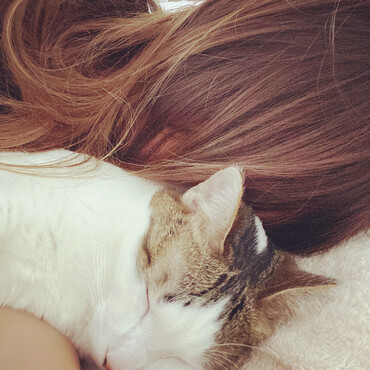 寝る時はいつも一緒