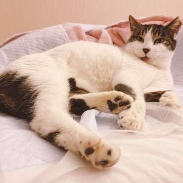 保護して10日でこのリラックス加減