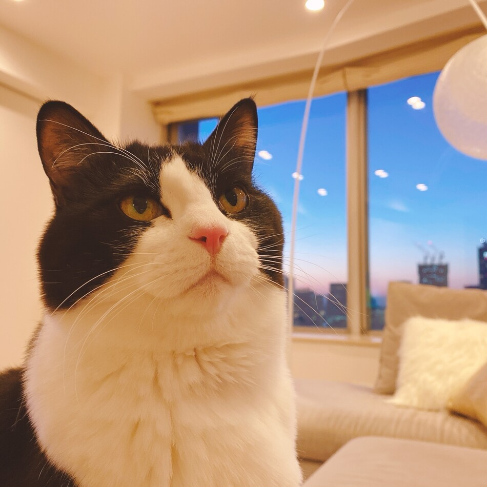 雪のカバー写真