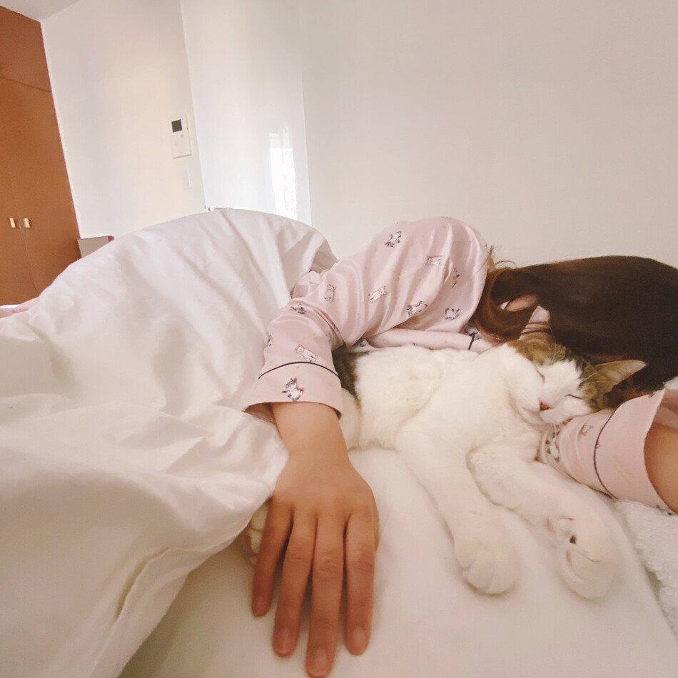 きなこのカバー写真