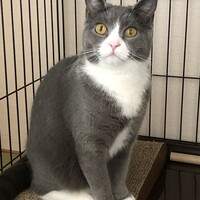 いずみ