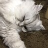 あやたこちゃん