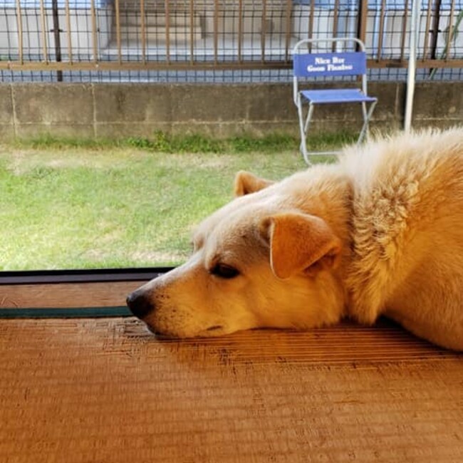 area5518のカバー写真