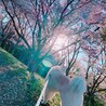 稀空