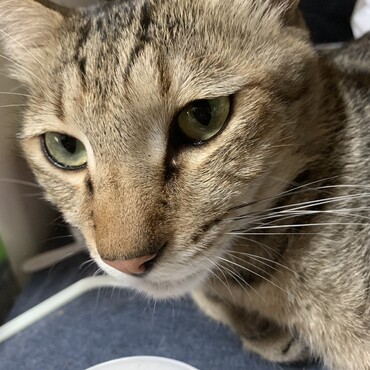 次男のロロ（３歳）