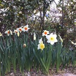 STAYHOMEやりきれてない(-.-)