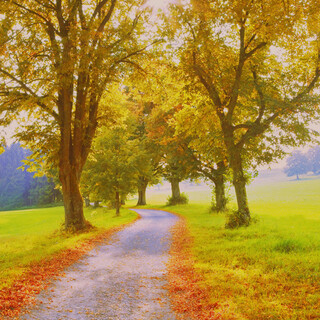 ありがとうございました