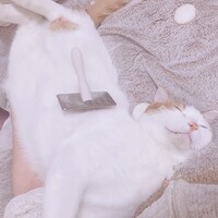 れんくん