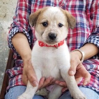 元気いっぱいの桃ちゃん❤️