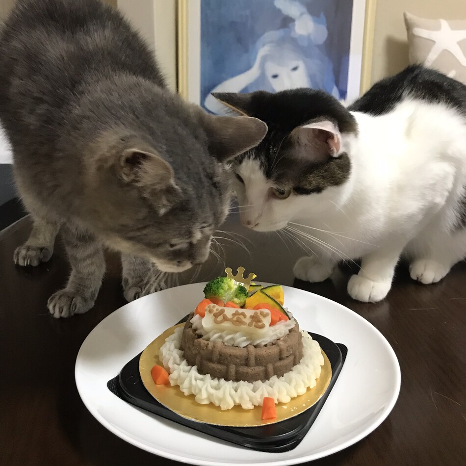 日向多のカバー写真