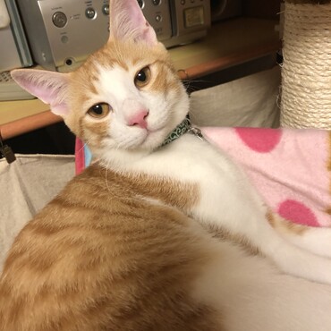 の写真