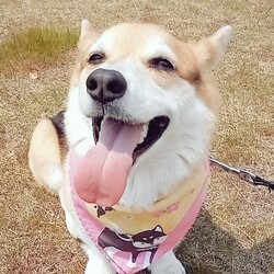 いっぱい走ったあとの笑顔