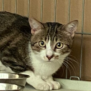 単身者に最適☆ホタルイカのホタルくん10ヶ月