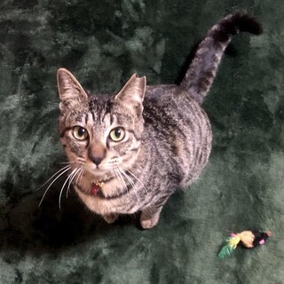 すっかりゴロスリさんになったメイちゃん♪