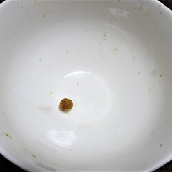 「理解不能」サムネイル1