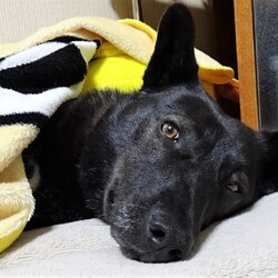 「理解不能」サムネイル3