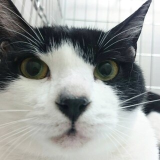 甘えん坊美男子スカイくん