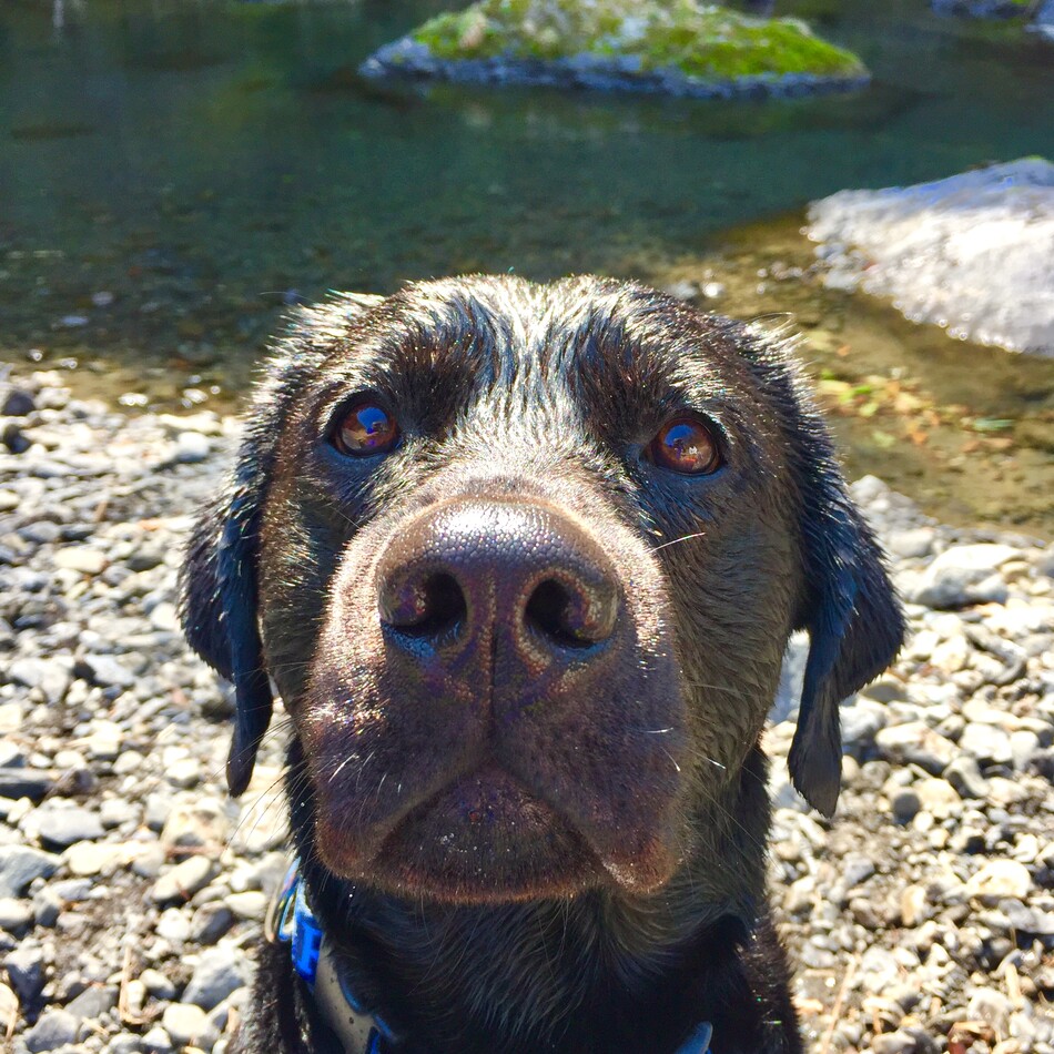 HOTAのカバー写真