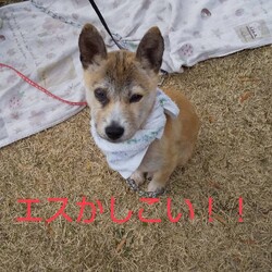 初めて鳴いた❗️