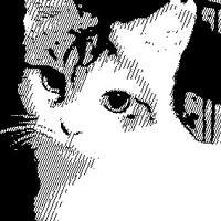 なつめ