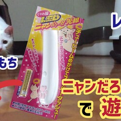ニャンだろ~光線で遊ぶ