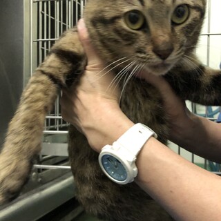 のんびり屋さんの男の子　「ドンくん」