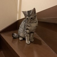 えん