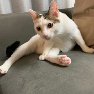 ポニョ！甘えた男子♡