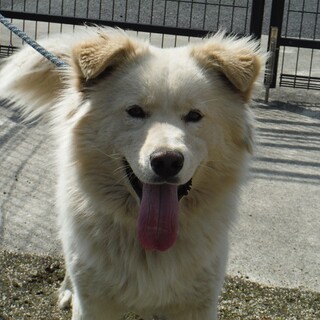 楽しく明るく暮らしたい！