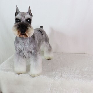 可愛いしゅなちゃん。