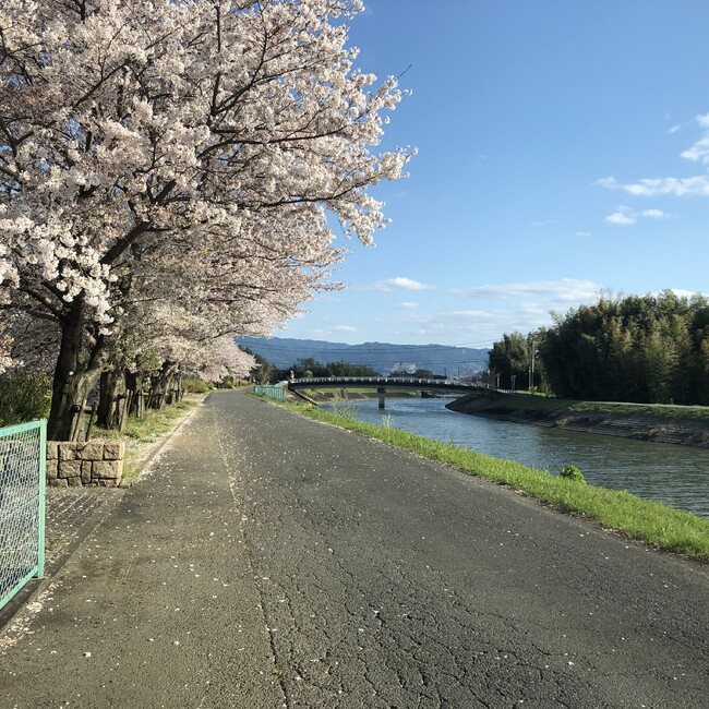 HaL44のカバー写真