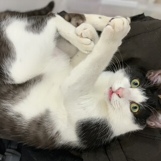 2019年4月13日生まれの男の子です。