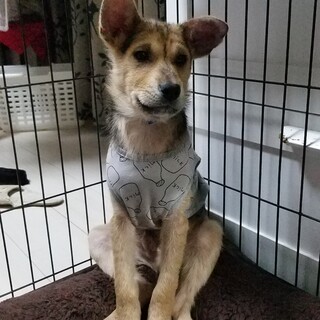 調整中のため、一旦募集をストップします。