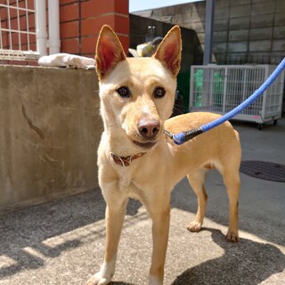 【助けてください】控えめだけど甘えん坊の女の子